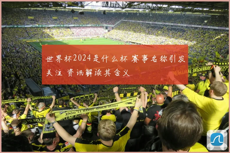 世界杯2024是什么杯 赛事名称引发关注 资讯解读其含义