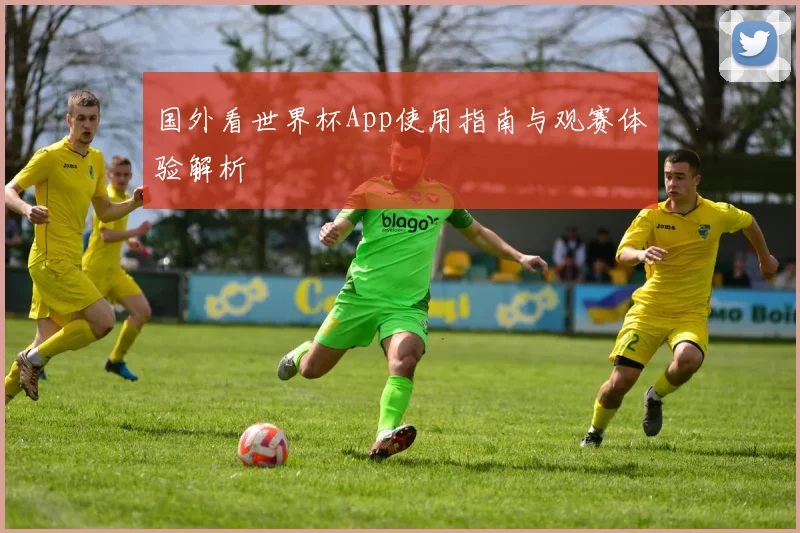 国外看世界杯App使用指南与观赛体验解析