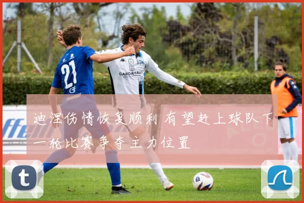 迪涅伤情恢复顺利 有望赶上球队下一轮比赛争夺主力位置